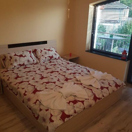 Guest House Ileana 사파레바바냐 외부 사진