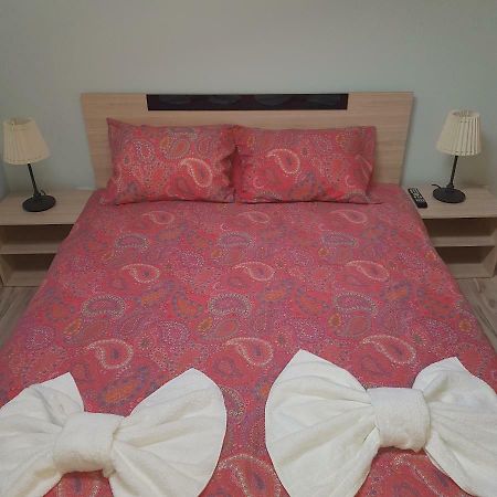 Guest House Ileana 사파레바바냐 외부 사진