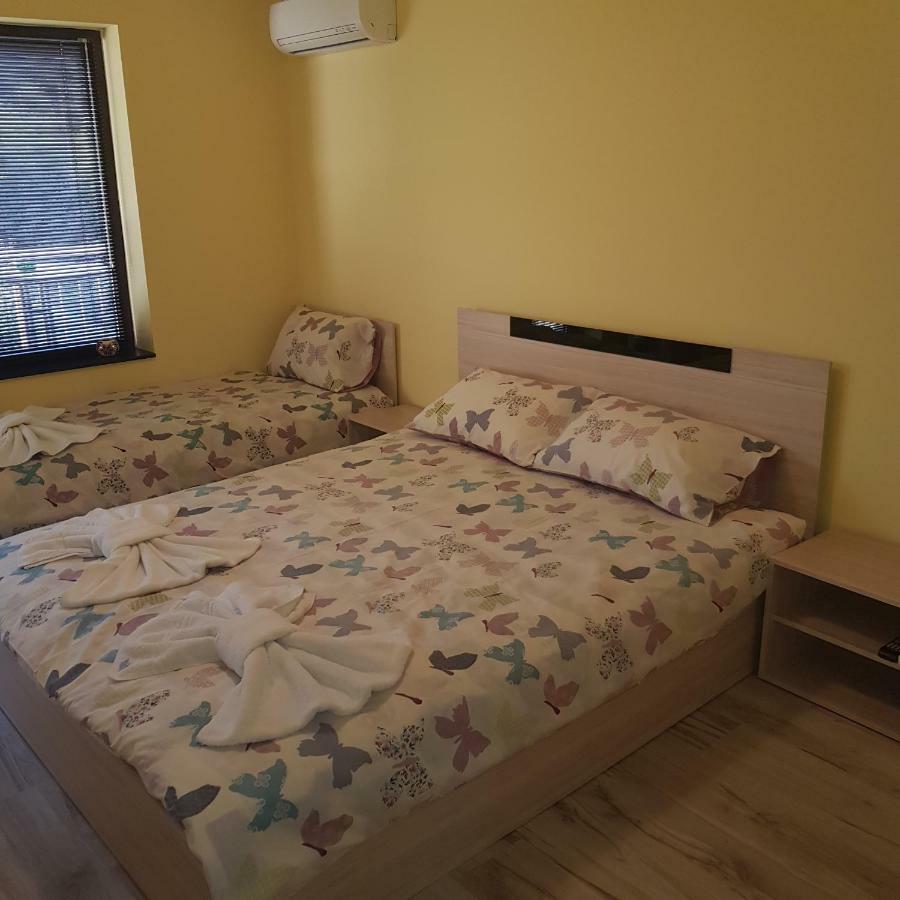 Guest House Ileana 사파레바바냐 외부 사진