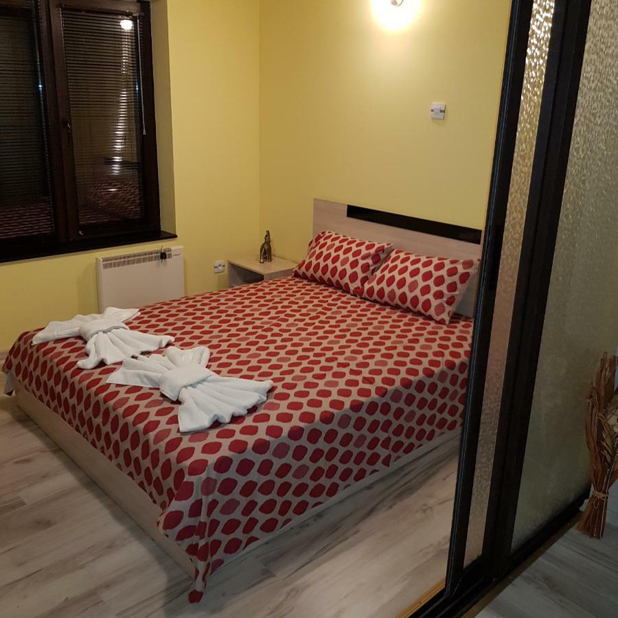 Guest House Ileana 사파레바바냐 외부 사진