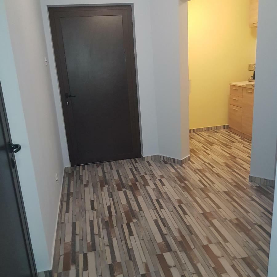 Guest House Ileana 사파레바바냐 외부 사진
