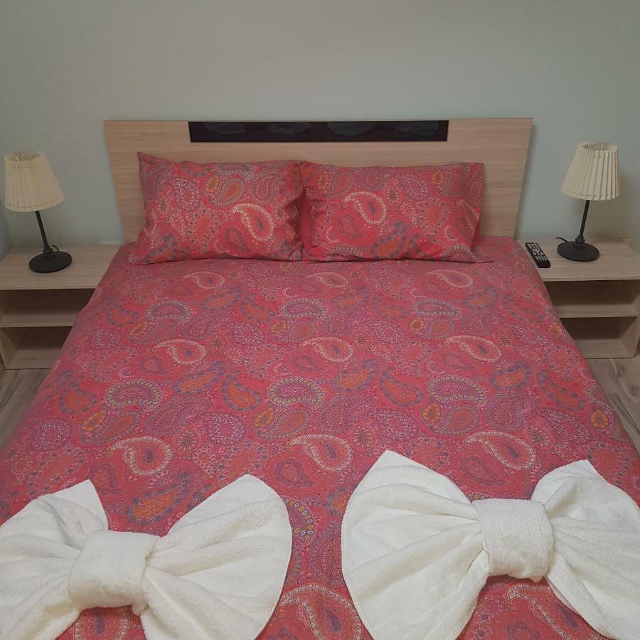 Guest House Ileana 사파레바바냐 외부 사진