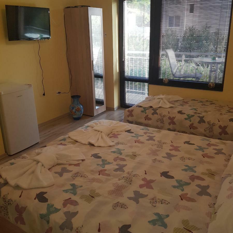 Guest House Ileana 사파레바바냐 외부 사진
