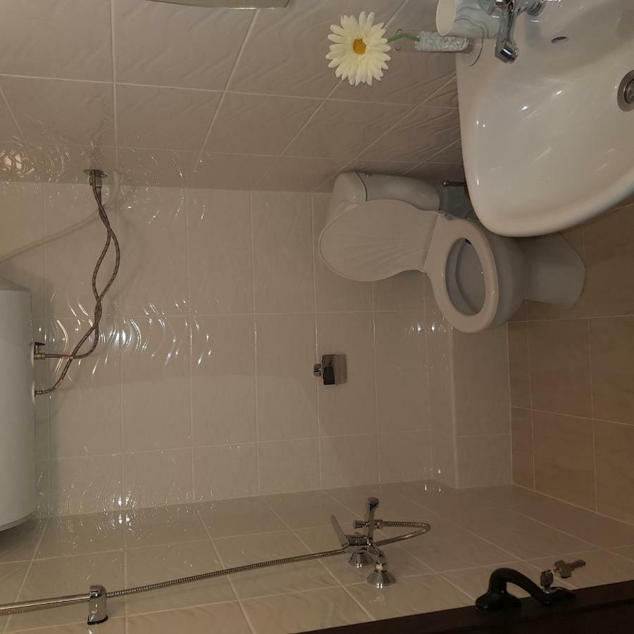 Guest House Ileana 사파레바바냐 외부 사진