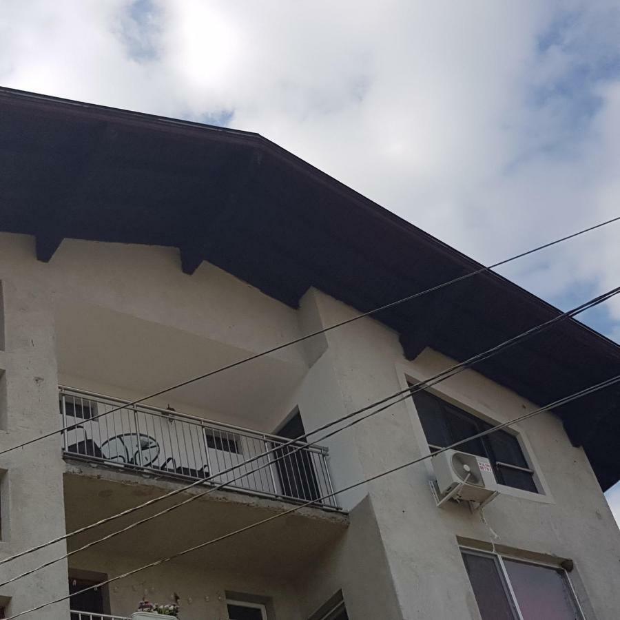 Guest House Ileana 사파레바바냐 외부 사진