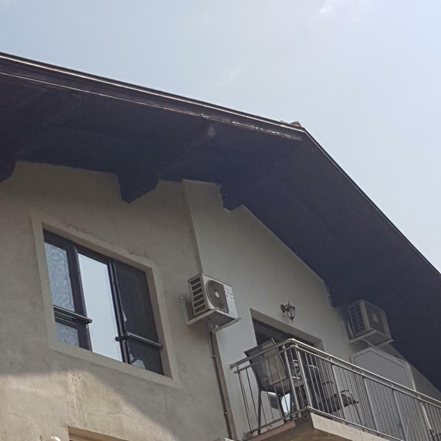 Guest House Ileana 사파레바바냐 외부 사진